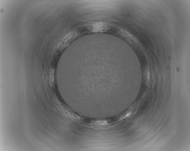 X0000070400554200606161348