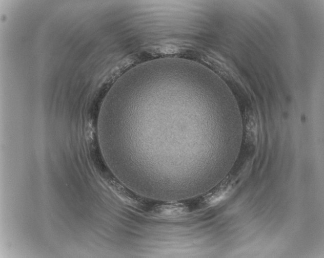 X0000070400555200606161348