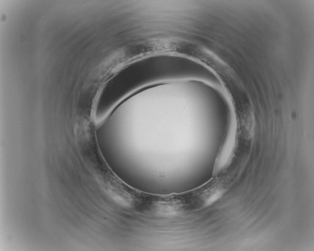 X0000070400556200606161348