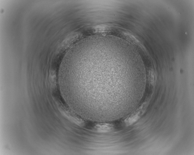 X0000070400557200606161348