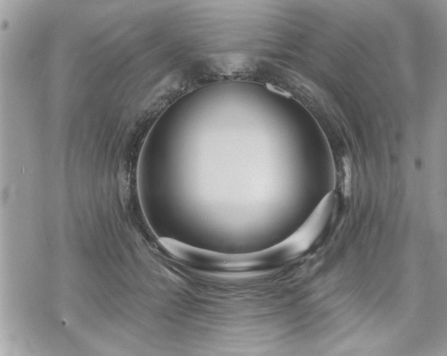 X0000070400558200606161348