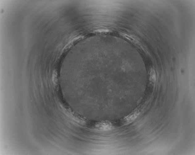 X0000070400559200606161348