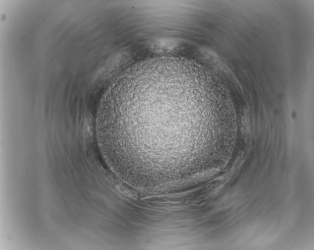 X0000070400561200606161348