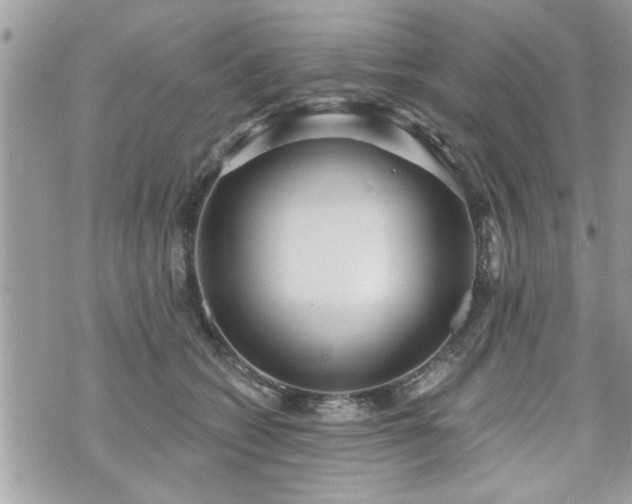 X0000070400562200606161348