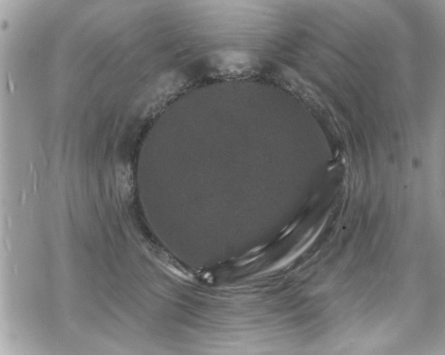 X0000070400563200606161348