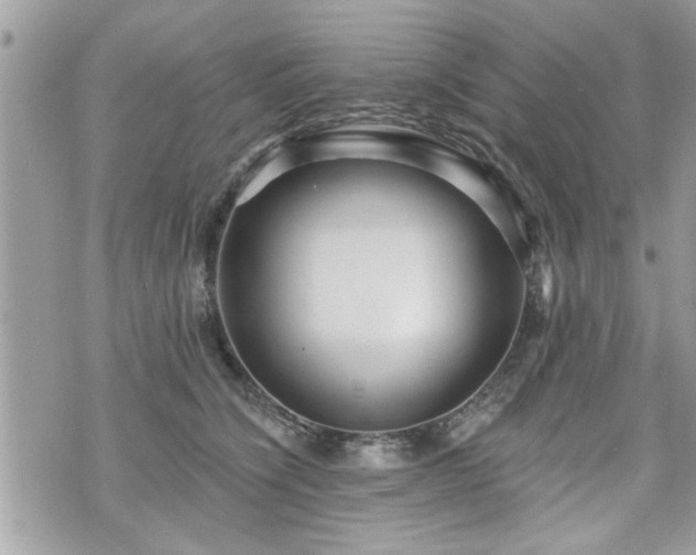 X0000070400564200606161348