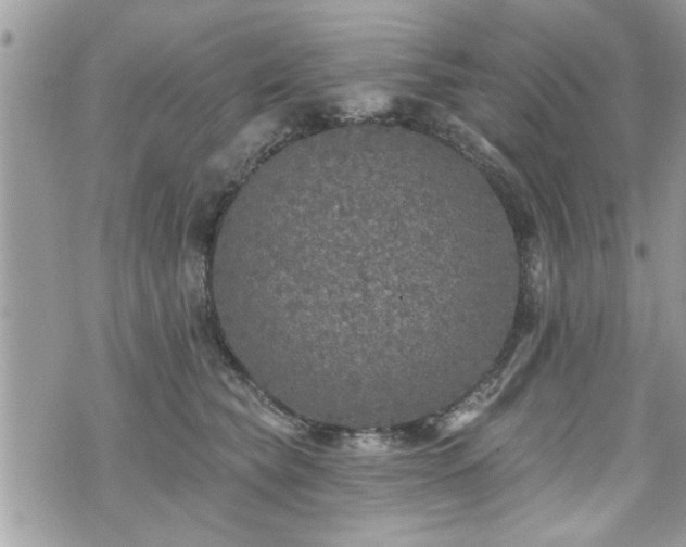 X0000070400565200606161348