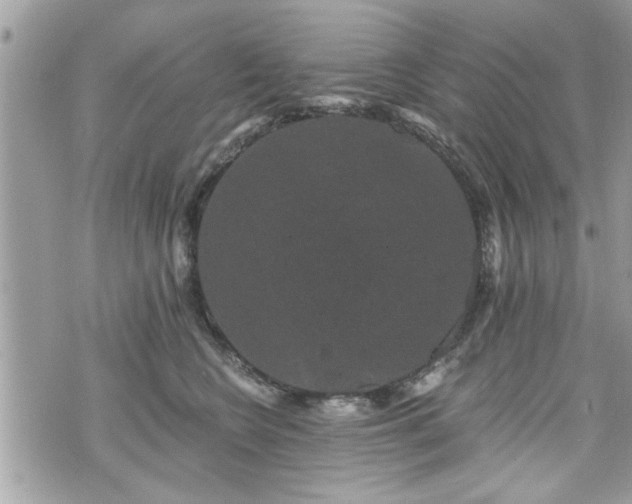 X0000070400566200606161348