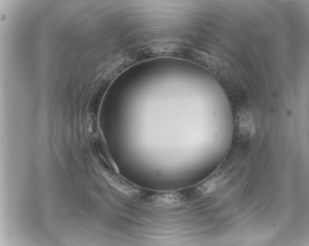 X0000070400567200606161348