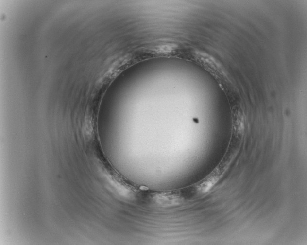 X0000070400568200606161348