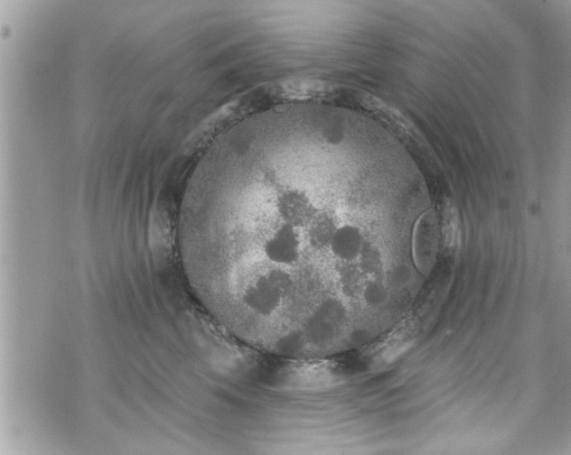 X0000070400569200606161348