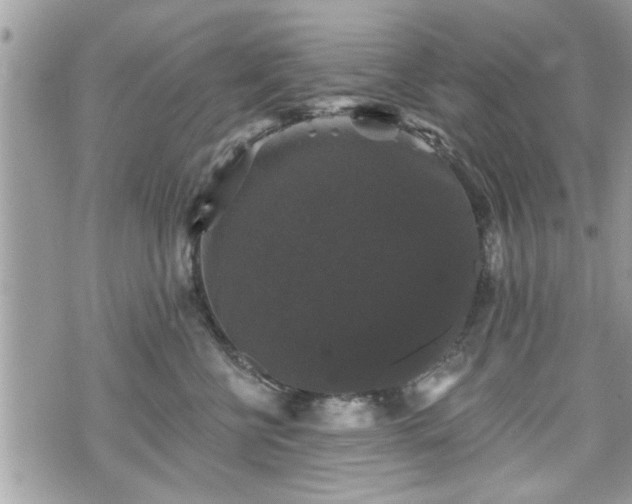 X0000070400570200606161348