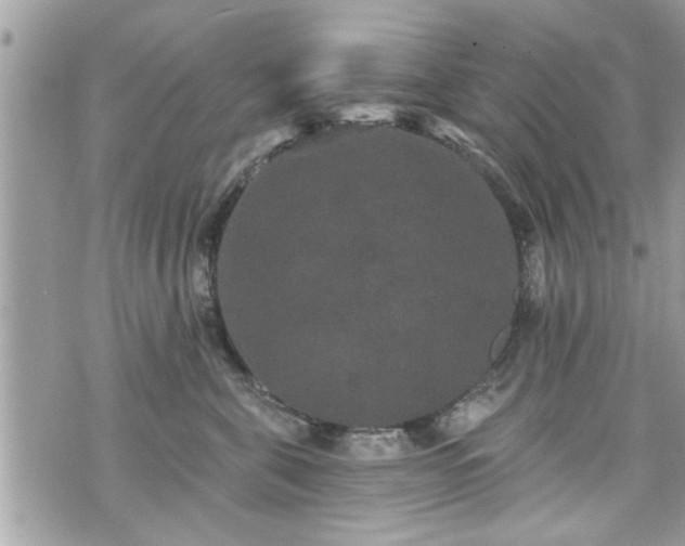 X0000070400571200606161348