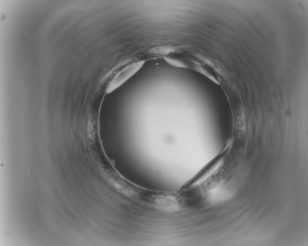 X0000070400572200606161348