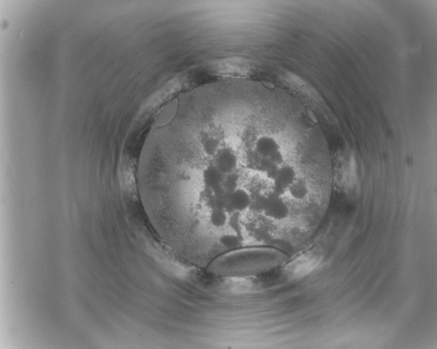 X0000070400573200606161348