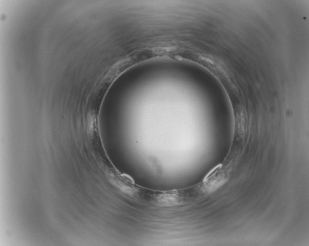 X0000070400574200606161348