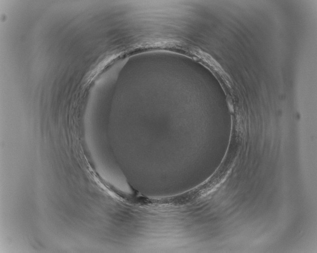 X0000070400577200606161348