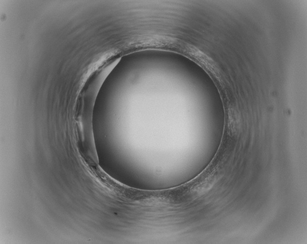 X0000070400578200606161348