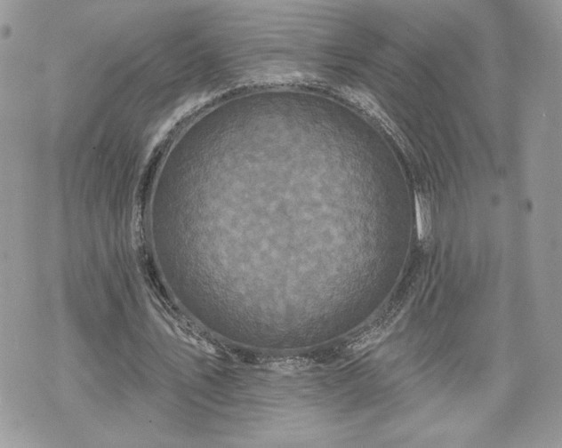 X0000070400579200606161348