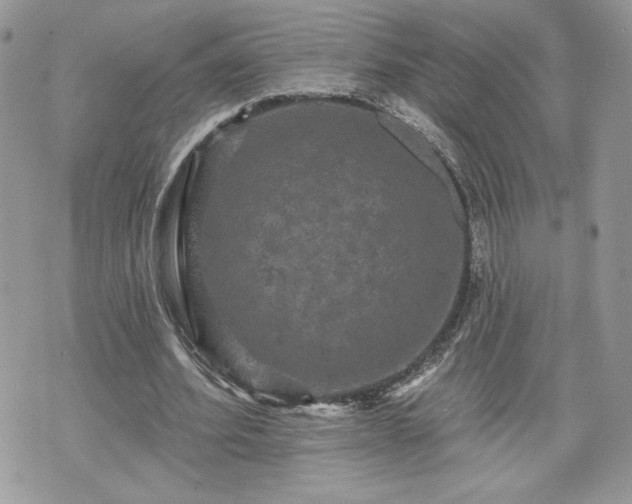 X0000070400580200606161348