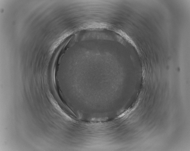 X0000070400581200606161348