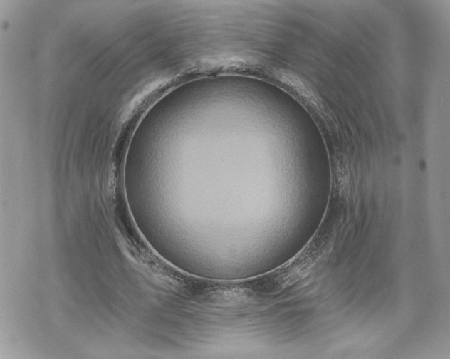 X0000070400583200606161348