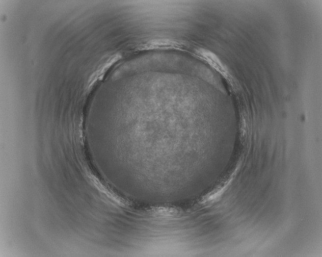 X0000070400585200606161347