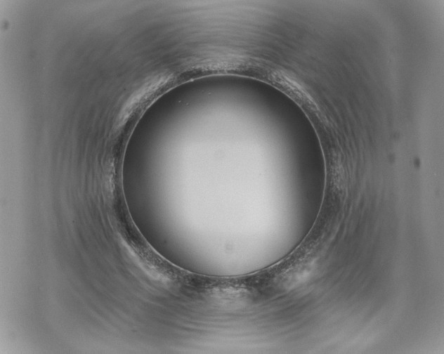 X0000070400586200606161347