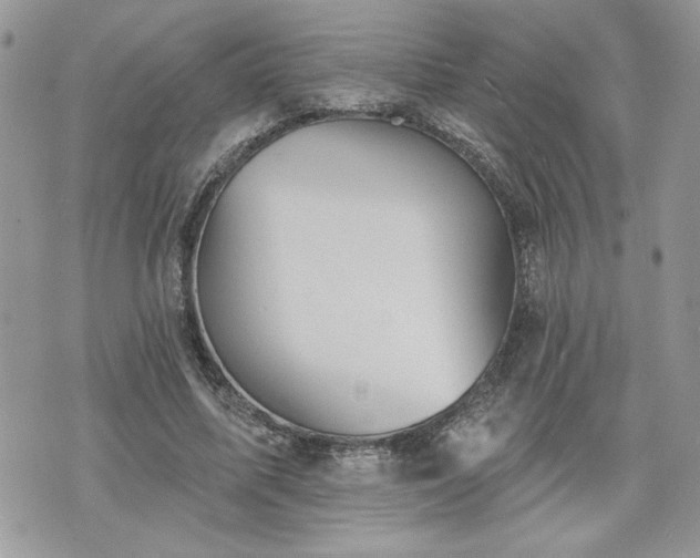 X0000070400587200606161347