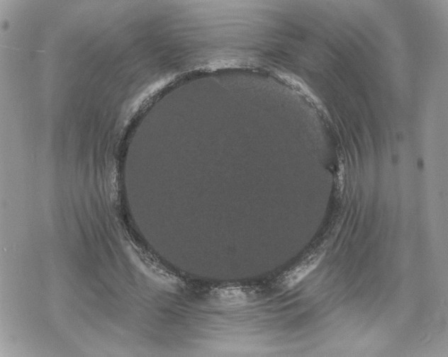 X0000070400588200606161347