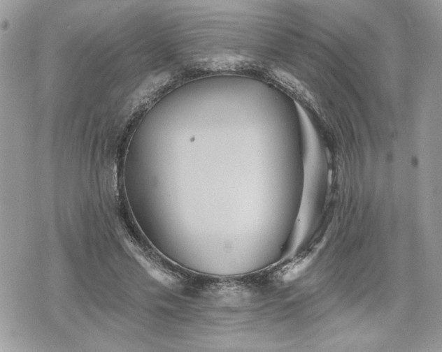 X0000070400589200606161347