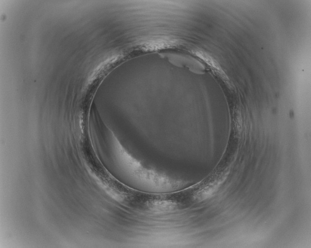 X0000070400590200606161347