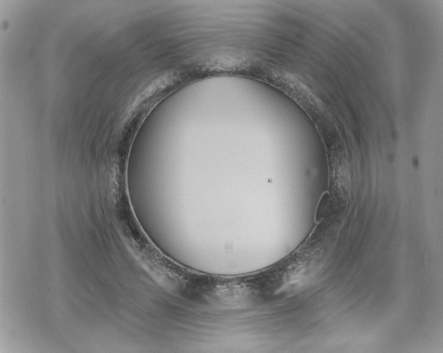 X0000070400591200606161347