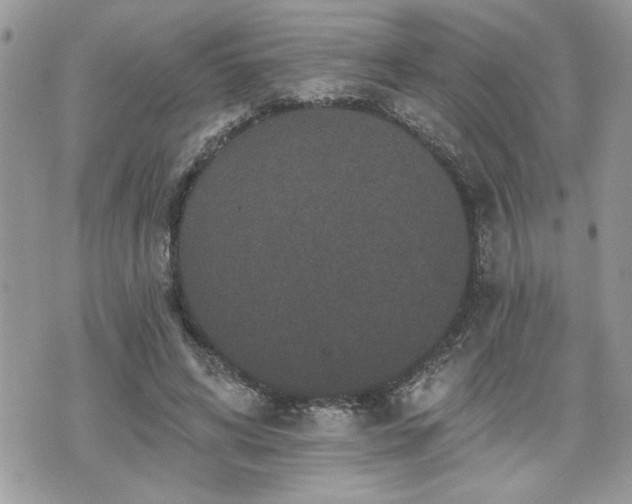 X0000070400592200606161347