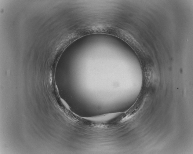 X0000070400593200606161347