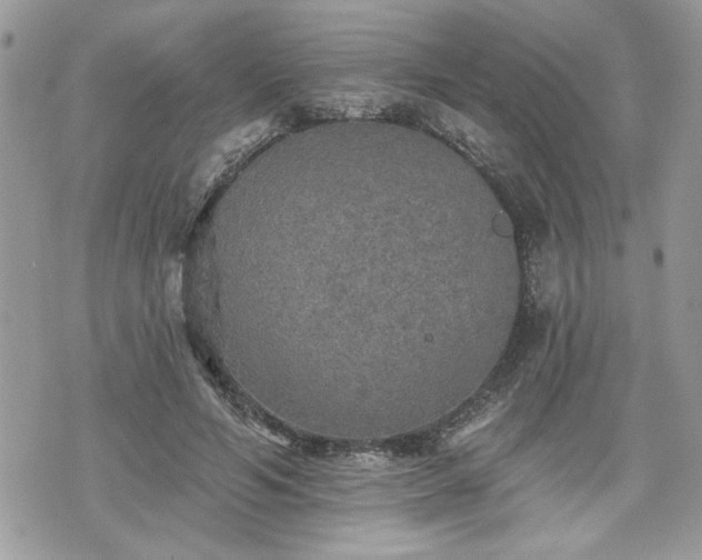 X0000070400594200606161347