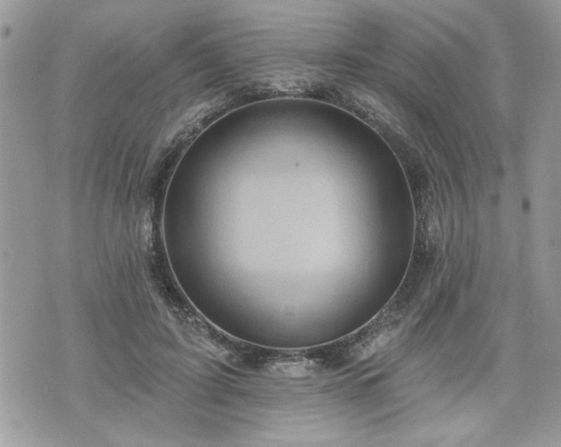 X0000070400595200606161347