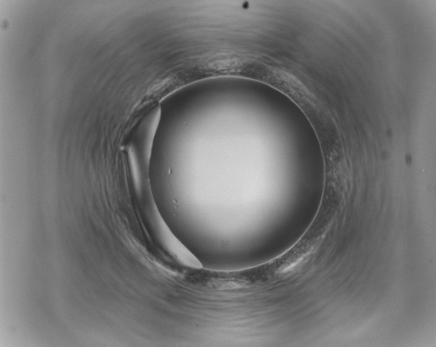 X0000070400597200606161347