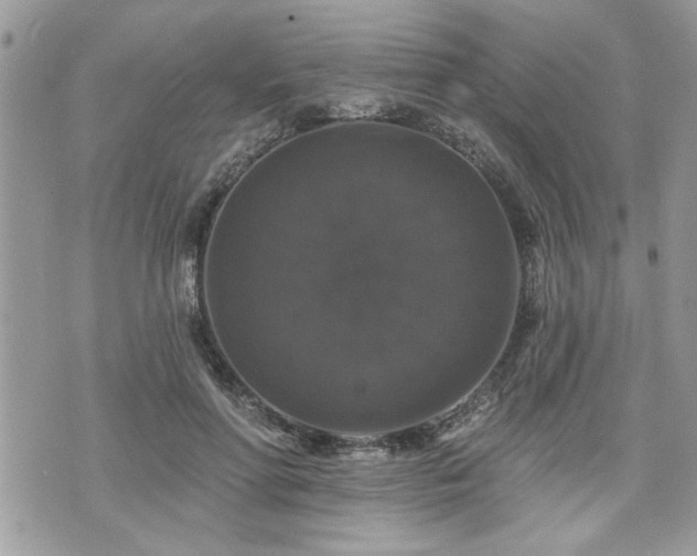 X0000070400598200606161347