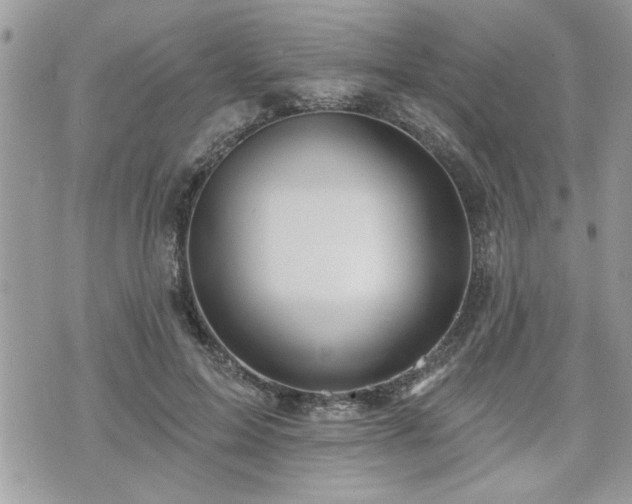 X0000070400599200606161347