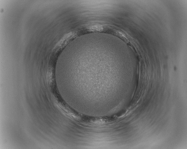 X0000070400600200606161347