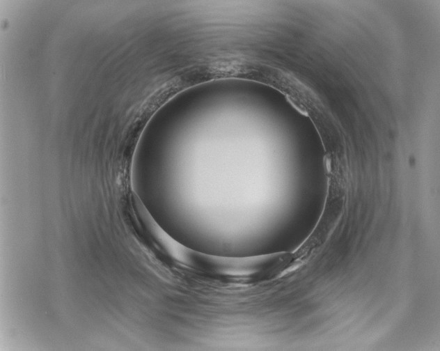 X0000070400601200606161347