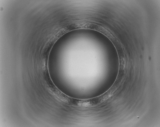 X0000070400602200606161347