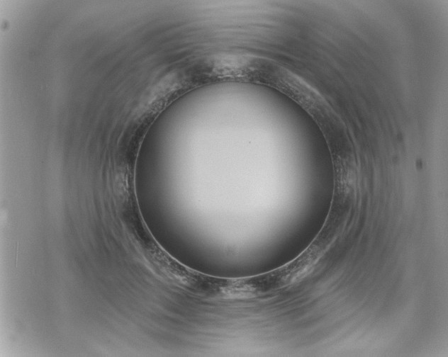 X0000070400603200606161347