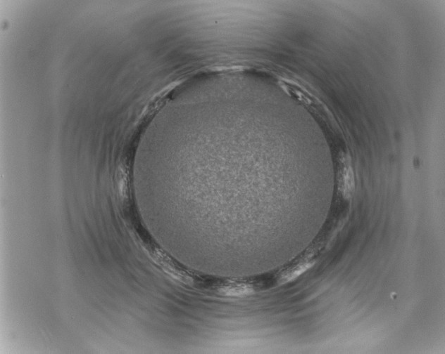 X0000070400604200606161347