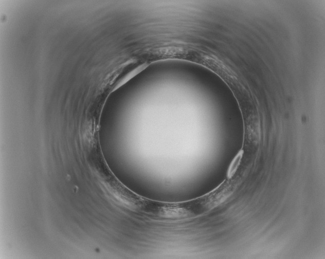 X0000070400605200606161347