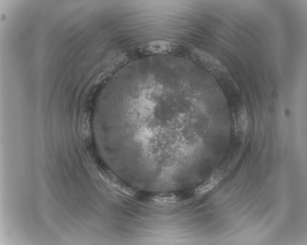 X0000070400606200606161347