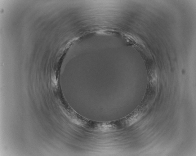 X0000070400607200606161347