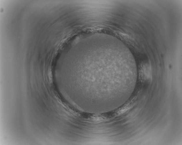 X0000070400608200606161347