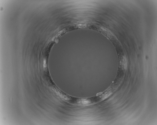 X0000070400610200606161347